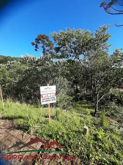 Foto 1 de Terreno / Lote à venda, 378m2 em Nova Petropolis - RS