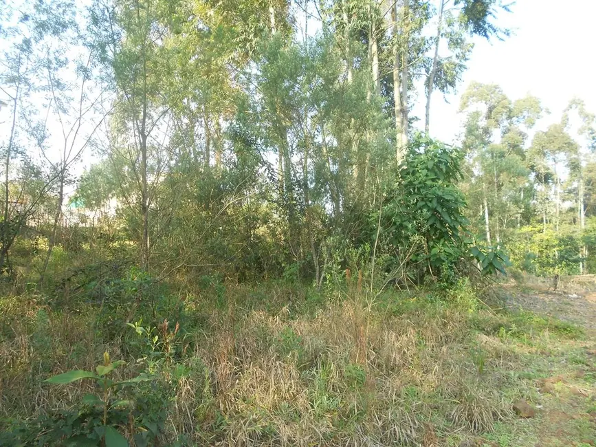 Terreno / Lote à venda, 360m2 em Nova Petropolis - RS - imagem 4 Foto 4 de Terreno / Lote à venda, 360m2 em Nova Petropolis - RS