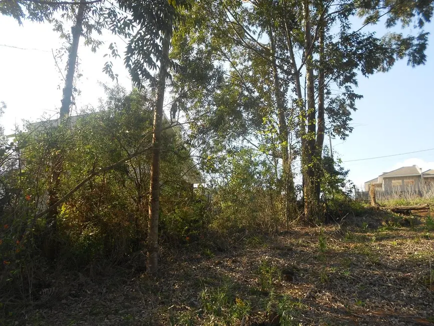 Terreno / Lote à venda, 360m2 em Nova Petropolis - RS - imagem 6 Foto 6 de Terreno / Lote à venda, 360m2 em Nova Petropolis - RS