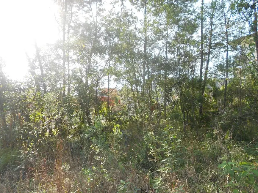 Terreno / Lote à venda, 360m2 em Nova Petropolis - RS - imagem 8 Foto 8 de Terreno / Lote à venda, 360m2 em Nova Petropolis - RS
