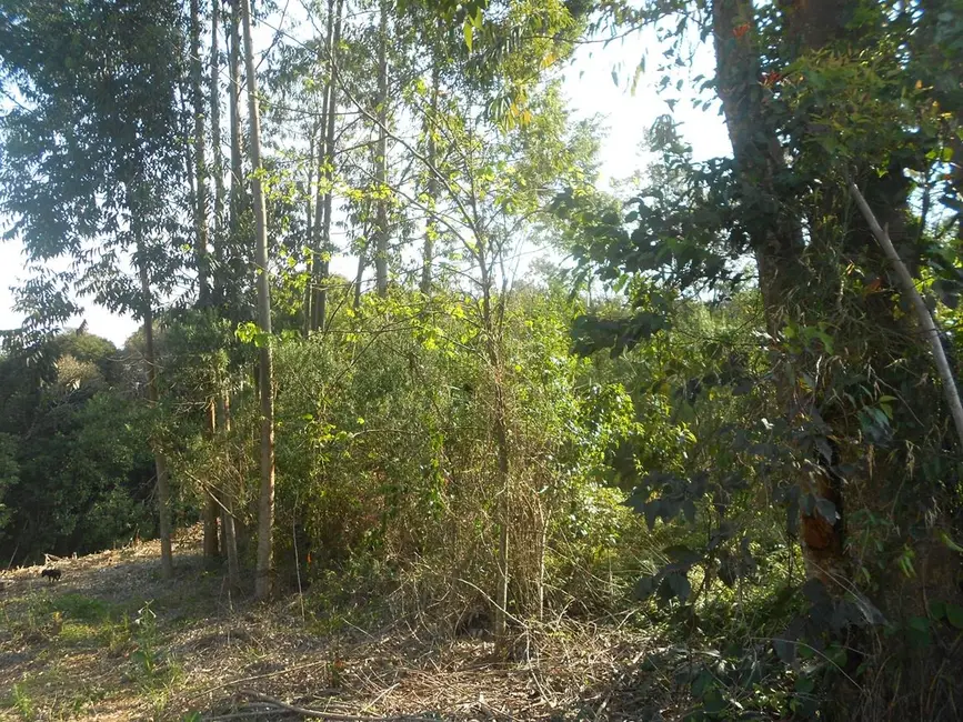 Terreno / Lote à venda, 360m2 em Nova Petropolis - RS - imagem 7 Foto 7 de Terreno / Lote à venda, 360m2 em Nova Petropolis - RS