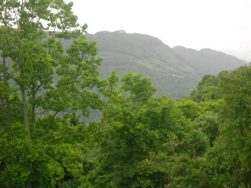 Terreno / Lote à venda, 464m2 em Nova Petropolis - RS - imagem 6 Foto 6 de Terreno / Lote à venda, 464m2 em Nova Petropolis - RS