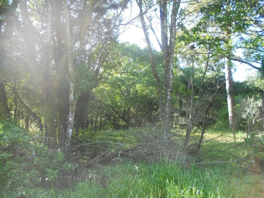 Terreno / Lote à venda, 1921m2 em Nova Petropolis - RS - imagem 7 Foto 7 de Terreno / Lote à venda, 1921m2 em Nova Petropolis - RS