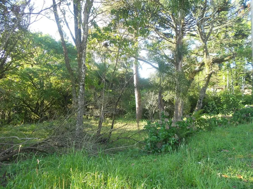 Terreno / Lote à venda, 1921m2 em Nova Petropolis - RS - imagem 8 Foto 8 de Terreno / Lote à venda, 1921m2 em Nova Petropolis - RS