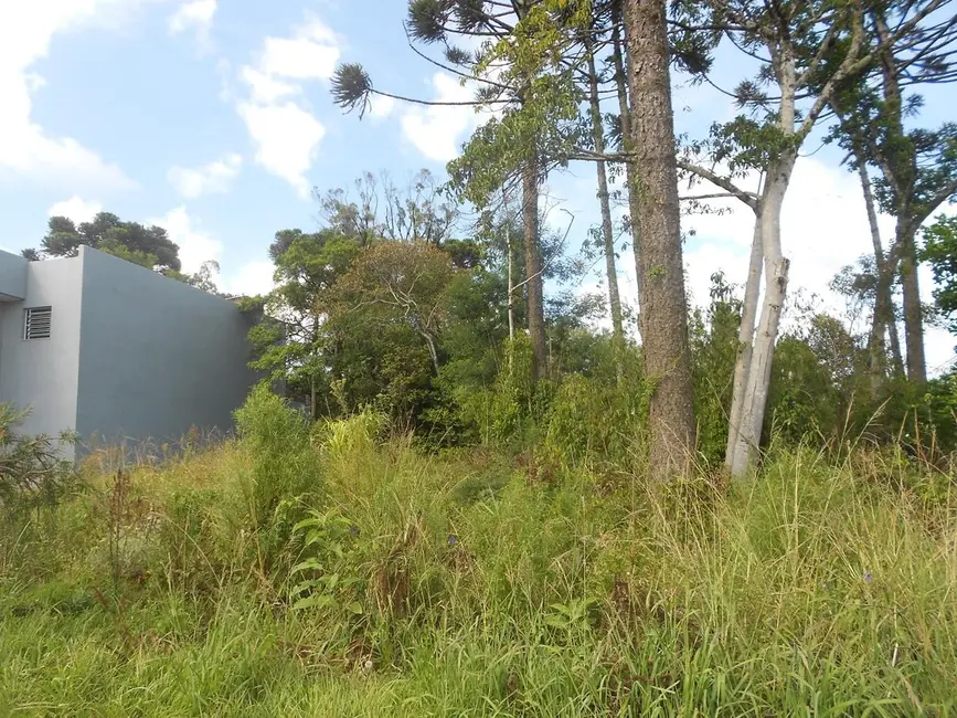 Terreno / Lote à venda, 552m2 em Nova Petropolis - RS - imagem 4 Foto 4 de Terreno / Lote à venda, 552m2 em Nova Petropolis - RS