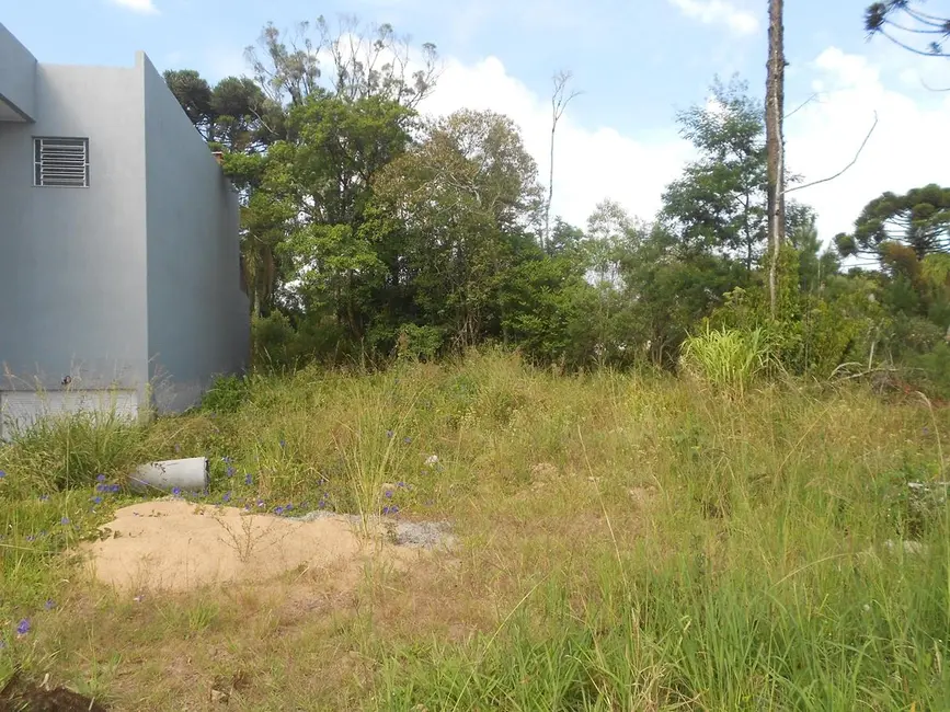 Terreno / Lote à venda, 552m2 em Nova Petropolis - RS - imagem 5 Foto 5 de Terreno / Lote à venda, 552m2 em Nova Petropolis - RS