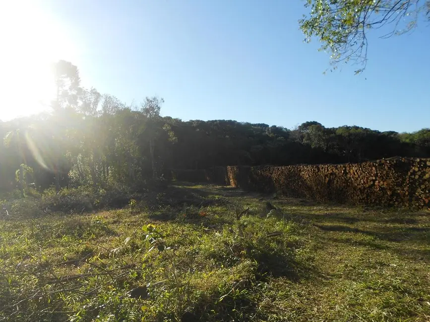 Terreno / Lote à venda, 46104m2 em Nova Petropolis - RS - imagem 7 Foto 7 de Terreno / Lote à venda, 46104m2 em Nova Petropolis - RS