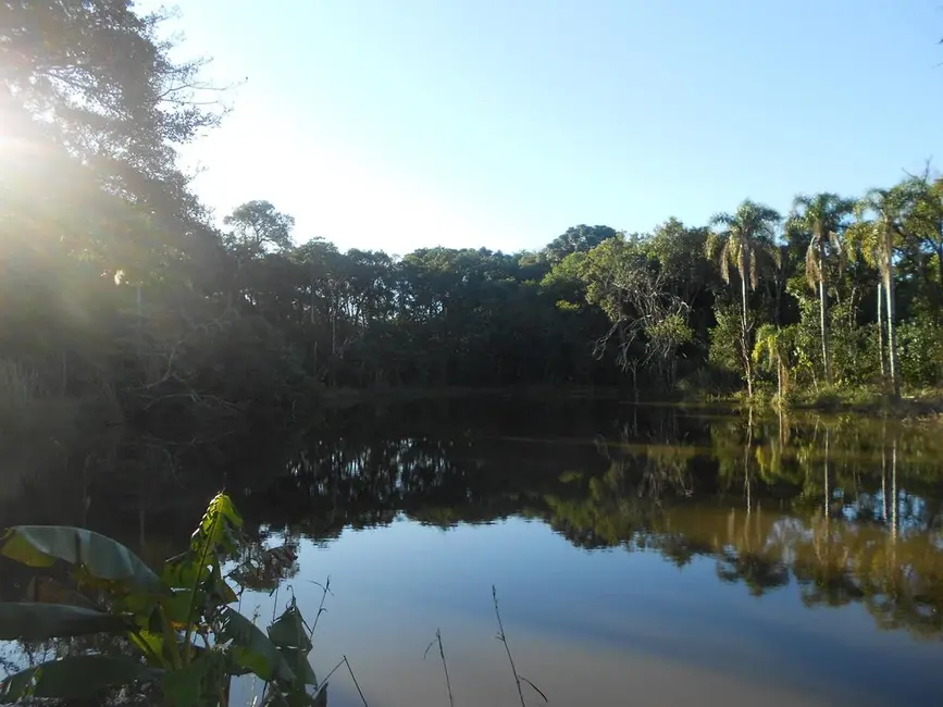 Foto 1 de Terreno / Lote à venda, 46104m2 em Nova Petropolis - RS