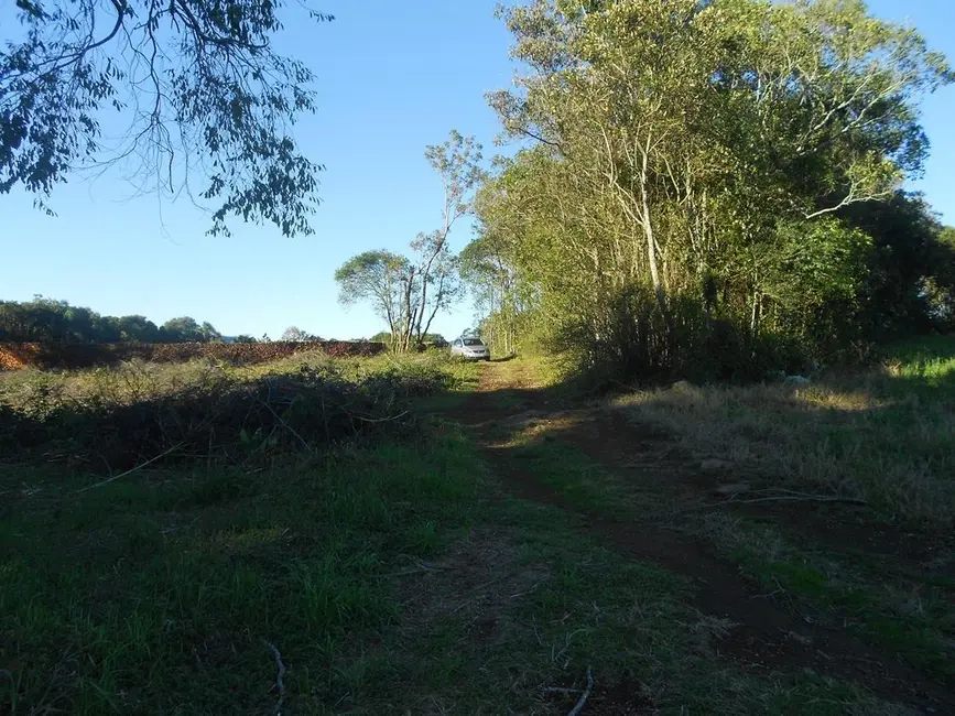 Terreno / Lote à venda, 46104m2 em Nova Petropolis - RS - imagem 4 Foto 4 de Terreno / Lote à venda, 46104m2 em Nova Petropolis - RS