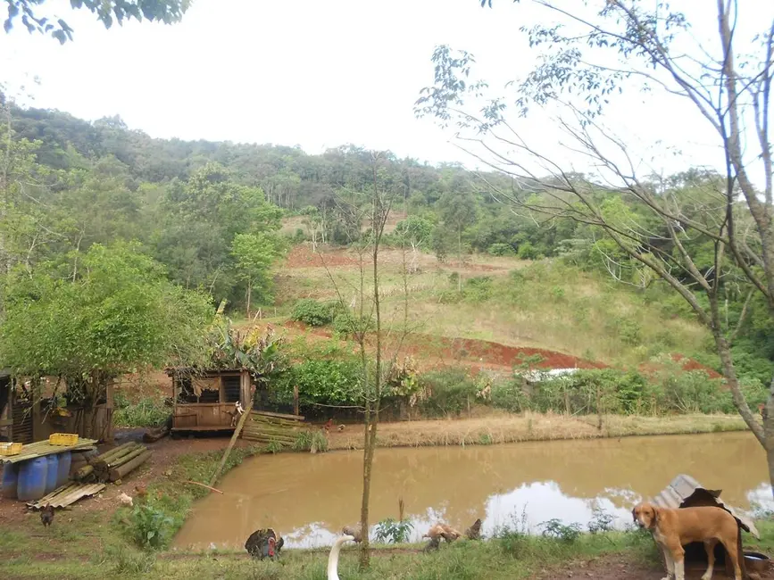 Foto 9 de Sítio / Rancho com 4 quartos à venda, 132m2 em Nova Petropolis - RS