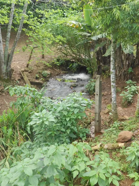 Foto 5 de Sítio / Rancho com 4 quartos à venda, 132m2 em Nova Petropolis - RS