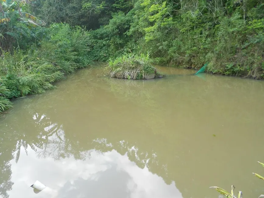 Foto 6 de Sítio / Rancho com 4 quartos à venda, 132m2 em Nova Petropolis - RS