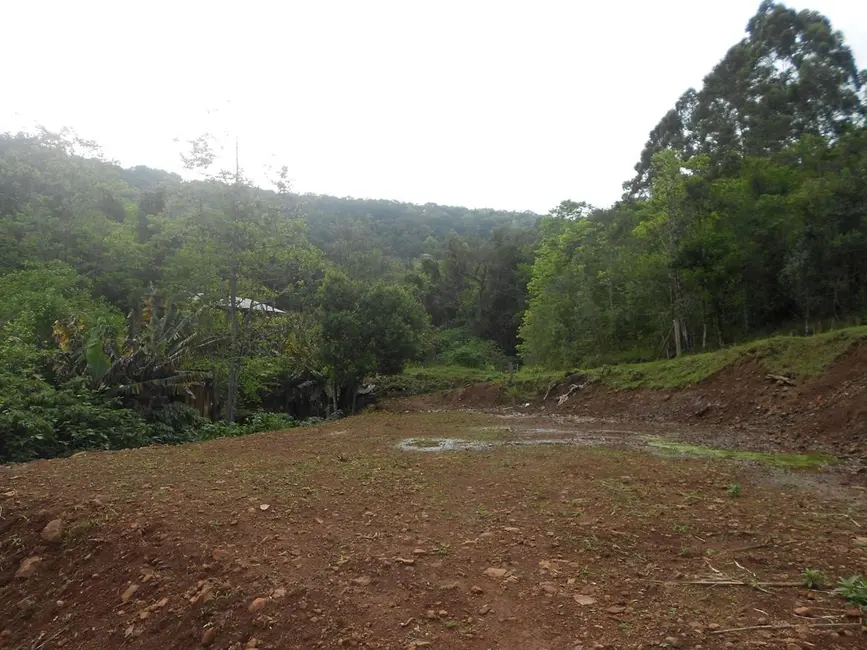 Foto 3 de Sítio / Rancho com 4 quartos à venda, 132m2 em Nova Petropolis - RS