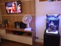Imagem 3