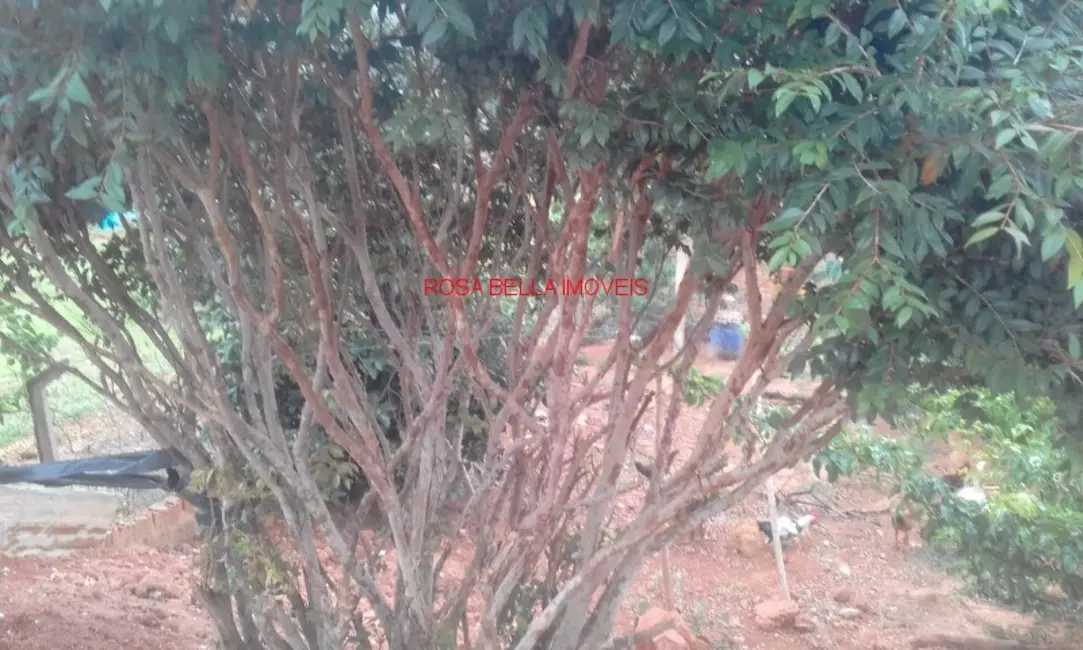 Foto 9 de Chácara com 3 quartos à venda, 1700m2 em Centro, Jarinu - SP