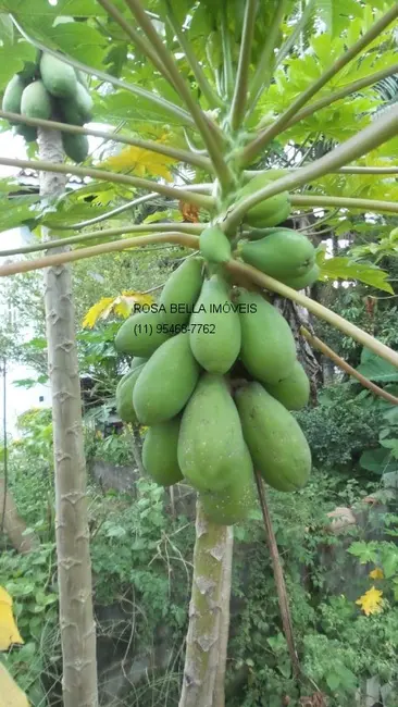 Chácara com 5 quartos à venda, 1300m2 em Centro, Santa Isabel - SP - imagem 2 Foto 2 de Chácara com 5 quartos à venda, 1300m2 em Centro, Santa Isabel - SP