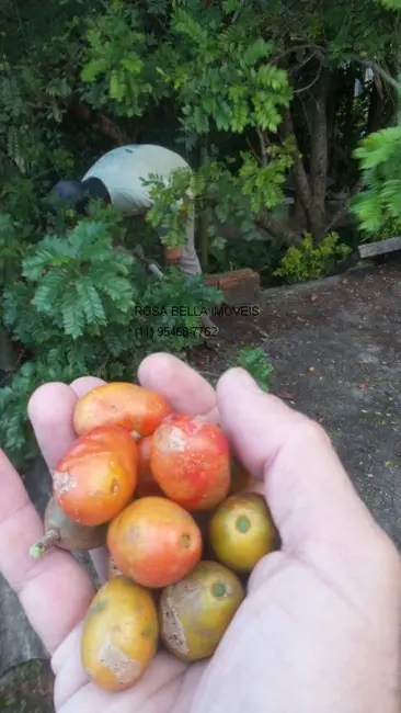 Chácara com 5 quartos à venda, 1300m2 em Centro, Santa Isabel - SP - imagem 8 Foto 8 de Chácara com 5 quartos à venda, 1300m2 em Centro, Santa Isabel - SP