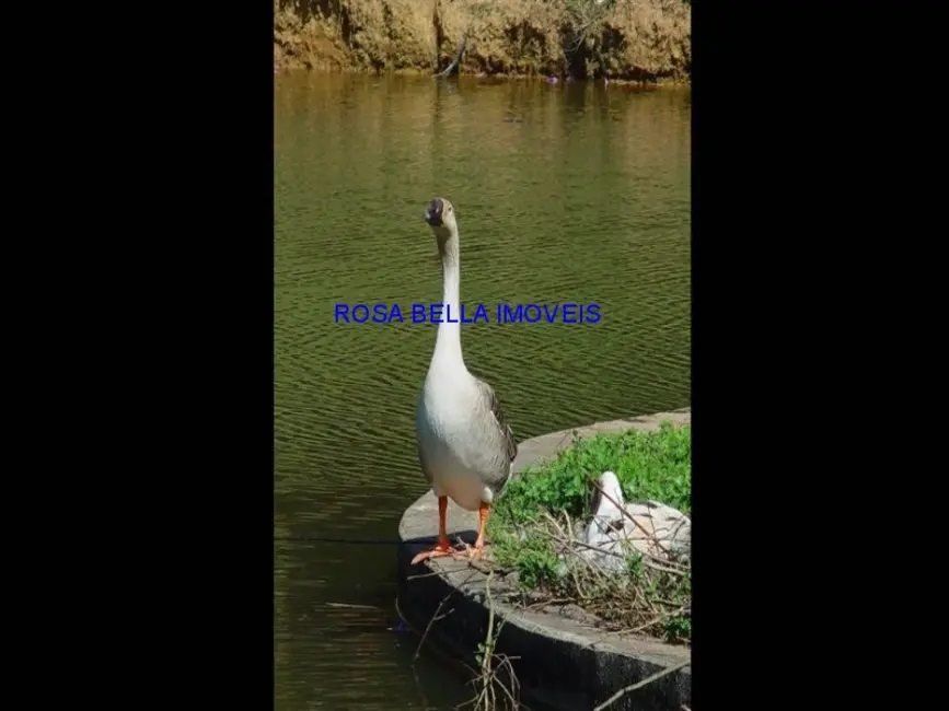 Foto 7 de Sítio / Rancho com 8 quartos à venda, 2418m2 em Loteamento Pinheirinho, Jundiai - SP