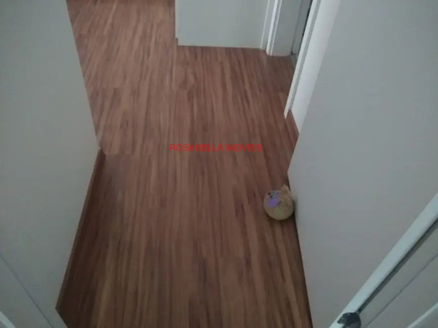 Apartamento com 2 quartos à venda, 54m2 em Parque União, Jundiai - SP - imagem 5 Foto 5 de Apartamento com 2 quartos à venda, 54m2 em Parque União, Jundiai - SP