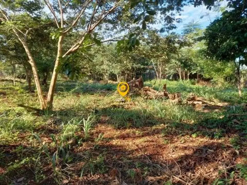 Fazenda / Haras para alugar, 3000m2 em Ribeirânia, Ribeirao Preto - SP - imagem 9 Foto 9 de Fazenda / Haras para alugar, 3000m2 em Ribeirânia, Ribeirao Preto - SP