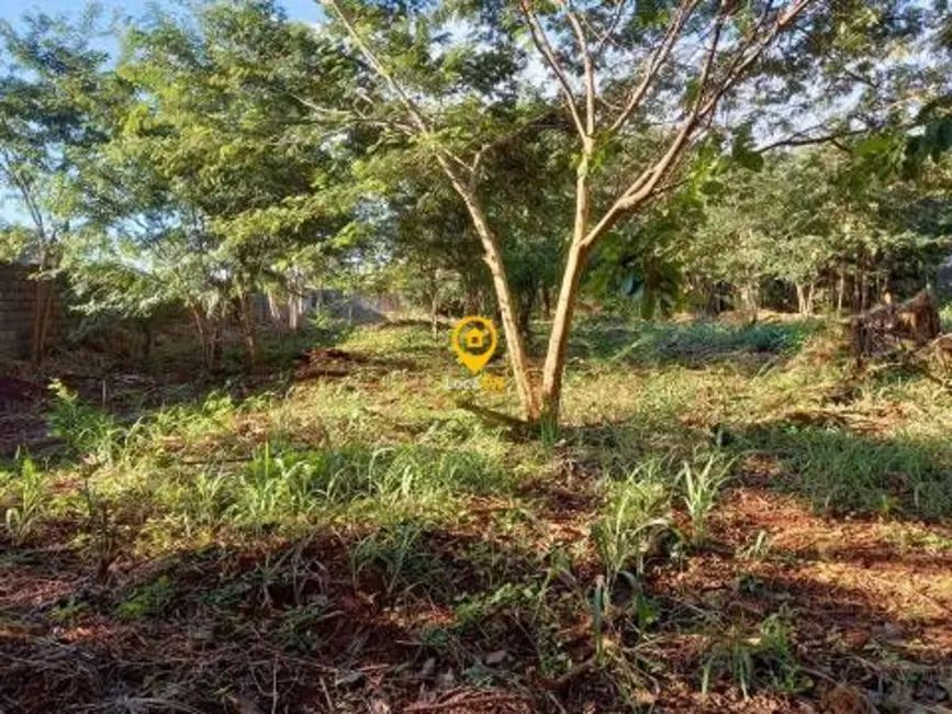 Fazenda / Haras para alugar, 3000m2 em Ribeirânia, Ribeirao Preto - SP - imagem 6 Foto 6 de Fazenda / Haras para alugar, 3000m2 em Ribeirânia, Ribeirao Preto - SP