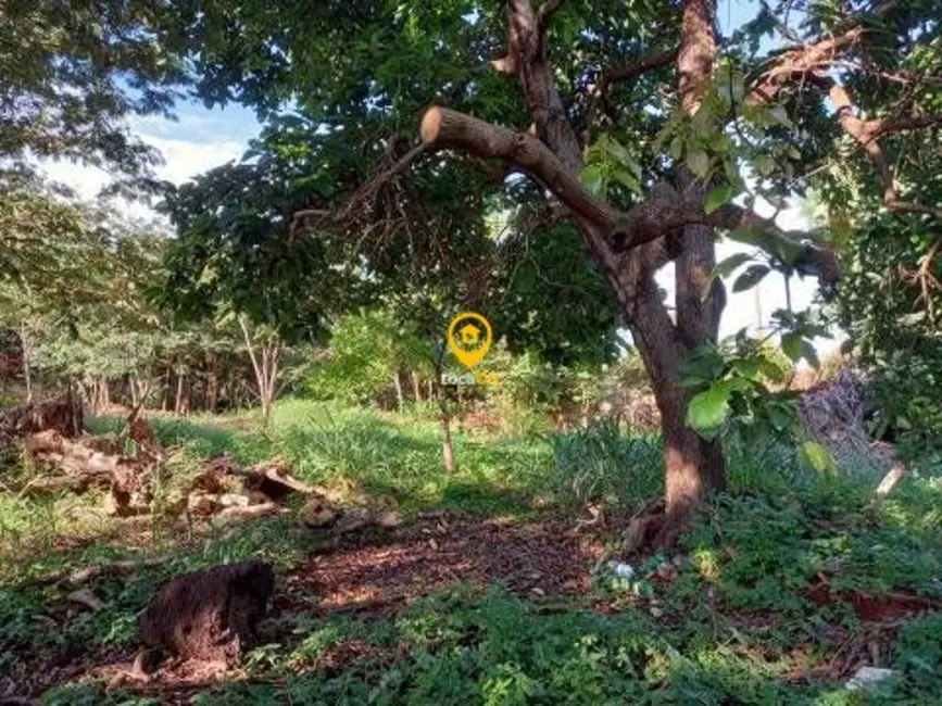 Foto 14 de Fazenda / Haras para alugar, 3000m2 em Ribeirânia, Ribeirao Preto - SP
