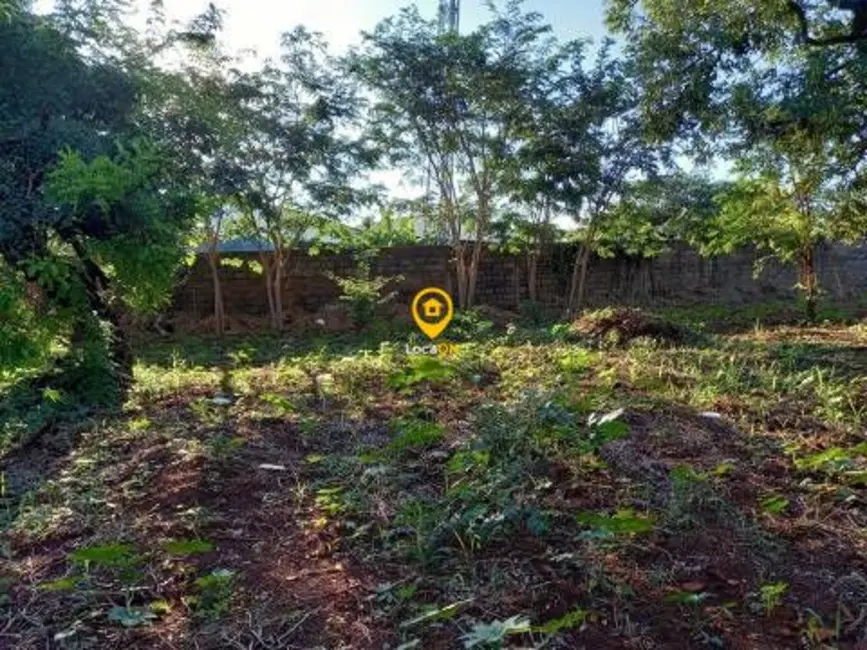 Foto 15 de Fazenda / Haras para alugar, 3000m2 em Ribeirânia, Ribeirao Preto - SP
