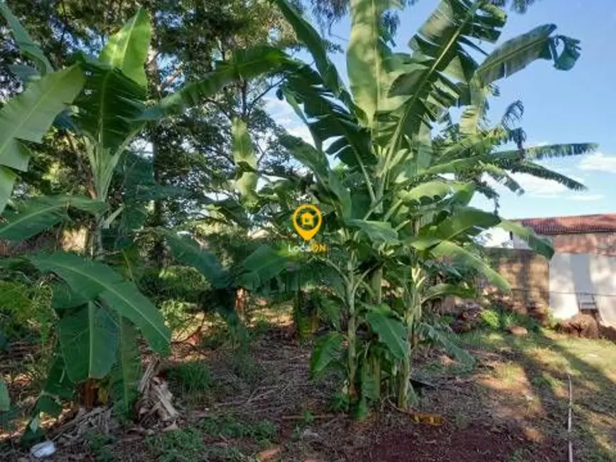 Foto 11 de Fazenda / Haras para alugar, 3000m2 em Ribeirânia, Ribeirao Preto - SP