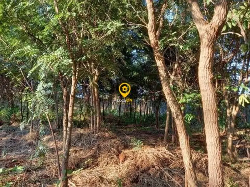 Foto 12 de Fazenda / Haras para alugar, 3000m2 em Ribeirânia, Ribeirao Preto - SP