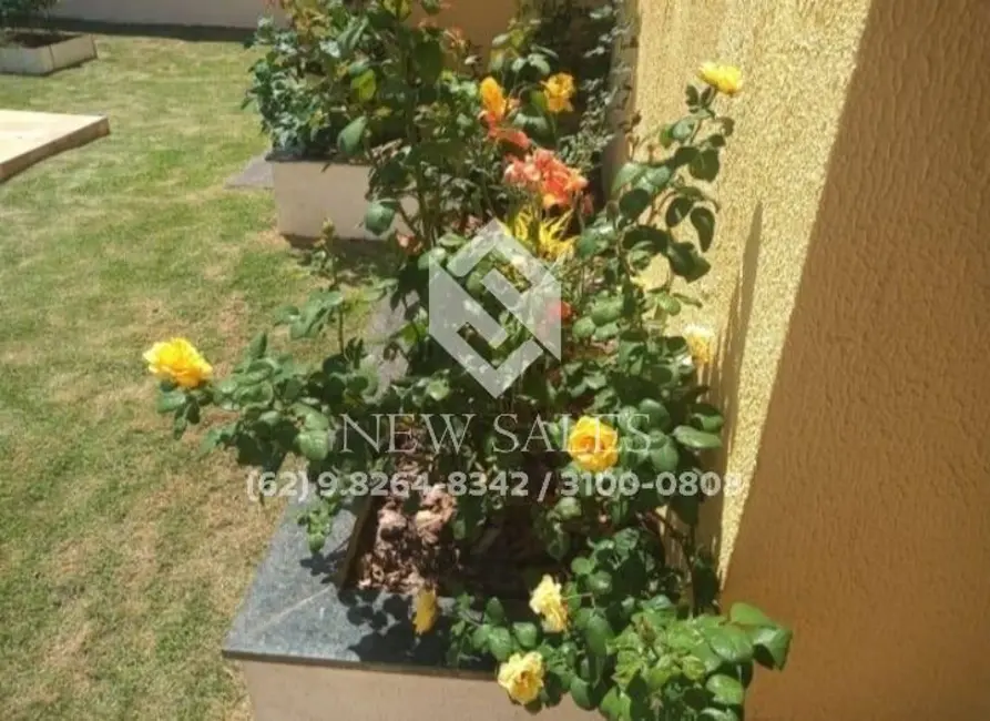 Casa com 3 quartos à venda, 390m2 em Residencial Vieira, Trindade - GO - imagem 3 Foto 3 de Casa com 3 quartos à venda, 390m2 em Residencial Vieira, Trindade - GO