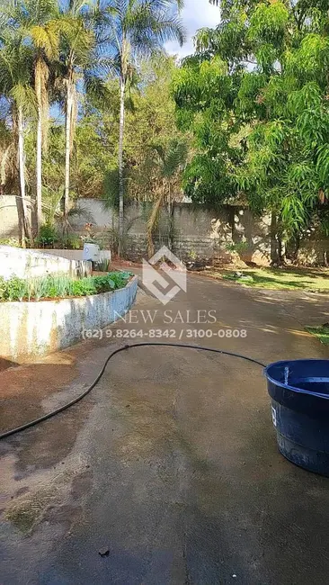 Foto 6 de Chácara com 3 quartos à venda, 5000m2 em Setor Continental, Aparecida De Goiania - GO