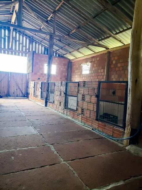 Foto 3 de Chácara com 3 quartos à venda, 5400m2 em Osorio - RS