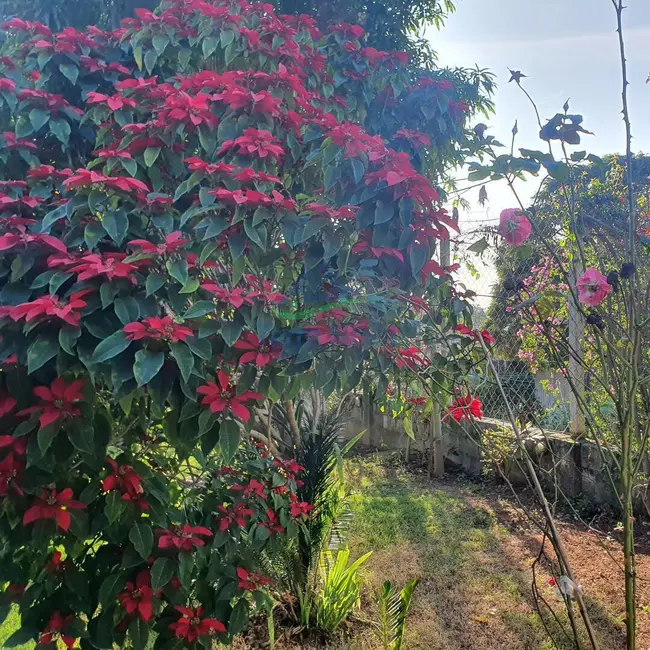 Foto 4 de Chácara com 7 quartos à venda, 80m2 em Ivoturucaia, Jundiai - SP