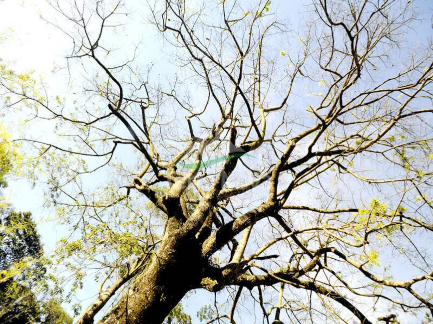 Foto 3 de Terreno / Lote à venda, 1127m2 em Centro, Cabreuva - SP