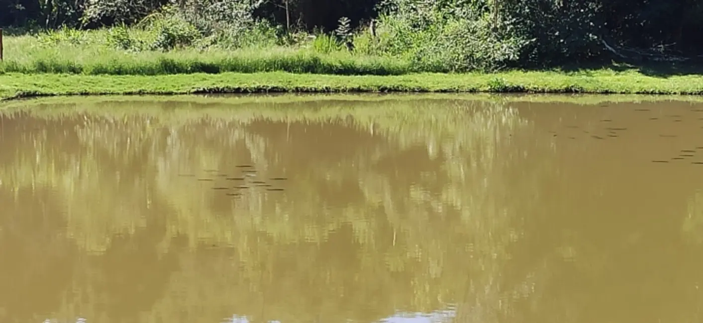 Foto 15 de Chácara à venda, 1800m2 em Cascavel - PR