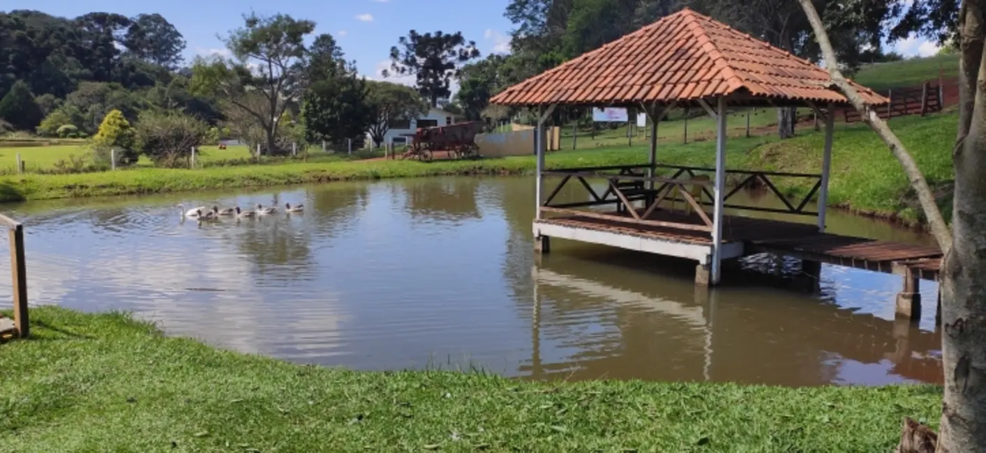 Foto 14 de Chácara à venda, 1800m2 em Cascavel - PR