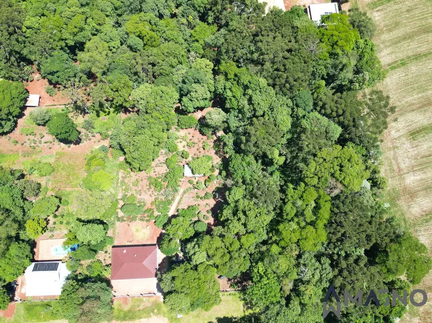 Foto 3 de Chácara com 3 quartos à venda, 5000m2 em Coqueiral, Cascavel - PR