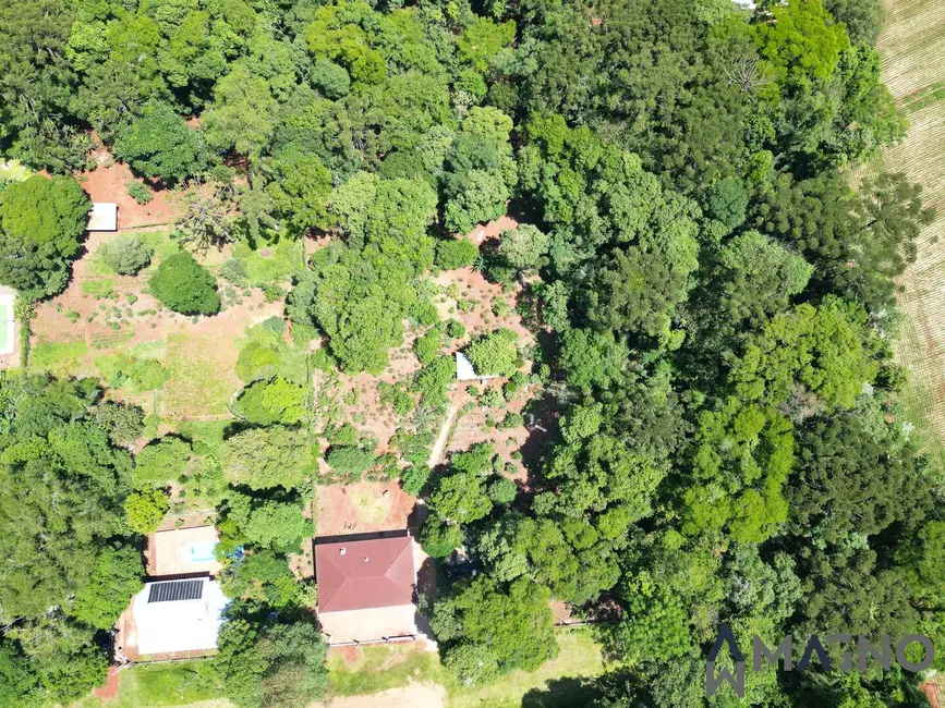 Foto 2 de Chácara com 3 quartos à venda, 5000m2 em Coqueiral, Cascavel - PR