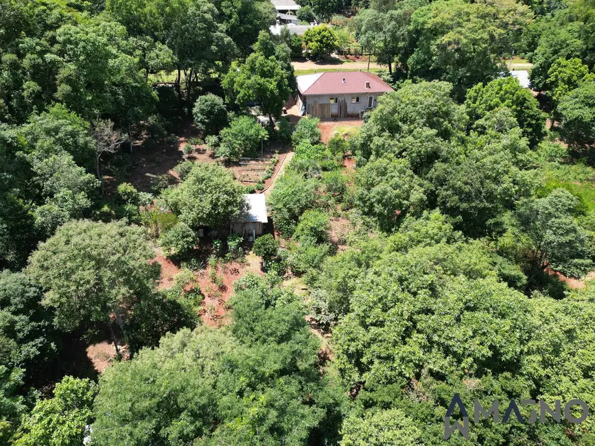 Foto 5 de Chácara com 3 quartos à venda, 5000m2 em Coqueiral, Cascavel - PR