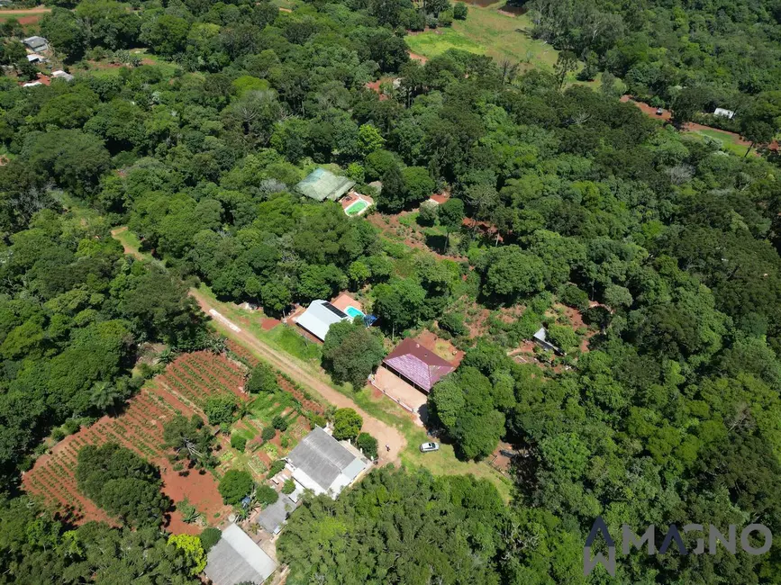Foto 9 de Chácara com 3 quartos à venda, 5000m2 em Coqueiral, Cascavel - PR