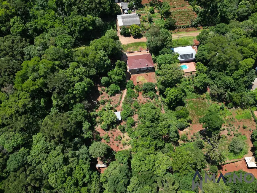 Foto 7 de Chácara com 3 quartos à venda, 5000m2 em Coqueiral, Cascavel - PR