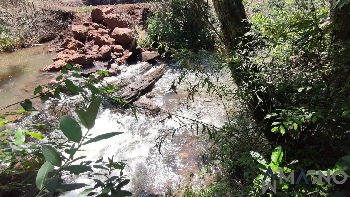 Foto 3 de Chácara à venda, 945m2 em Coqueiral, Cascavel - PR