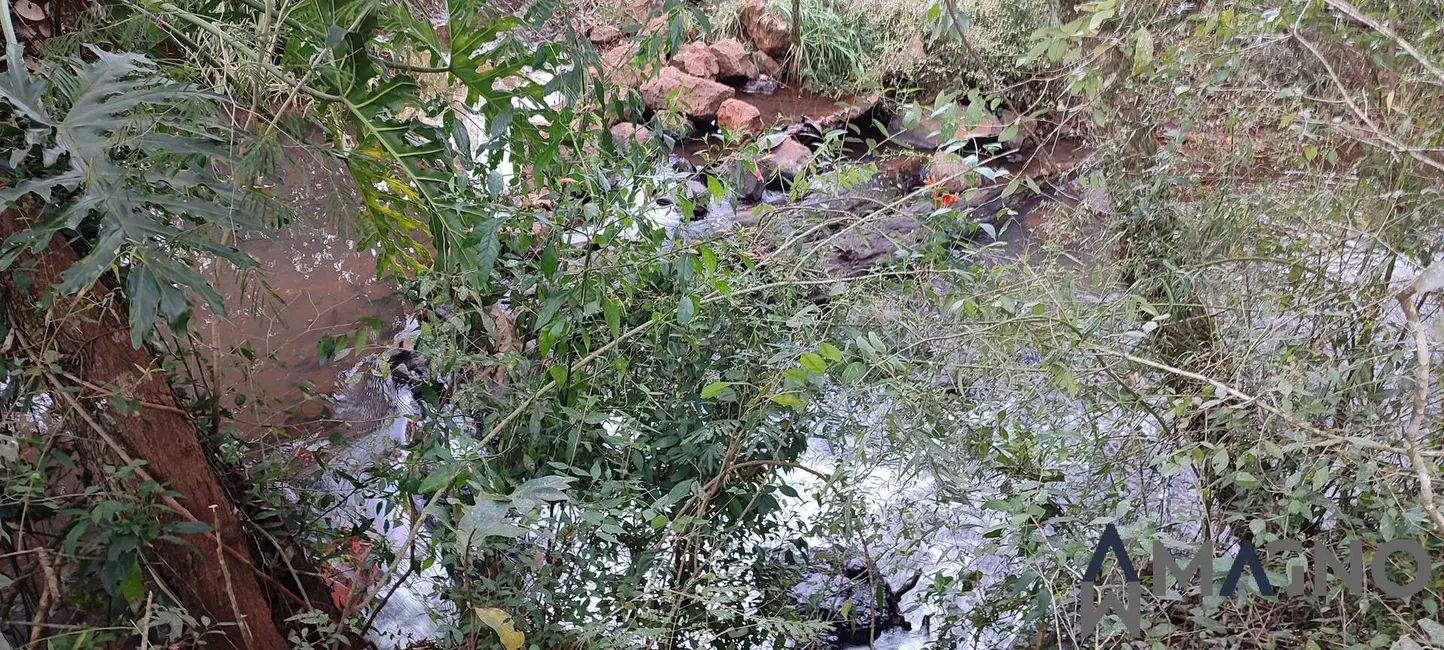 Foto 9 de Chácara à venda, 945m2 em Coqueiral, Cascavel - PR