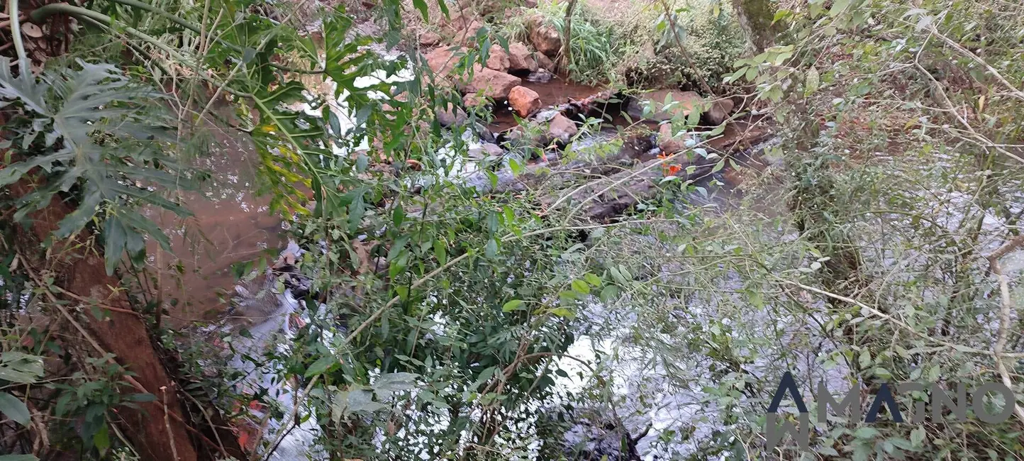 Foto 8 de Chácara à venda, 945m2 em Coqueiral, Cascavel - PR