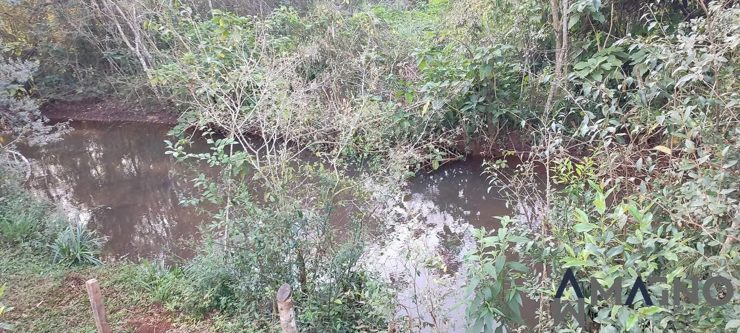 Foto 4 de Chácara à venda, 945m2 em Coqueiral, Cascavel - PR