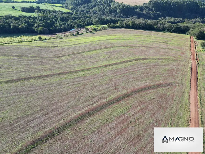 Foto 5 de Sítio / Rancho à venda, 242000m2 em Centro, Santa Tereza Do Oeste - PR