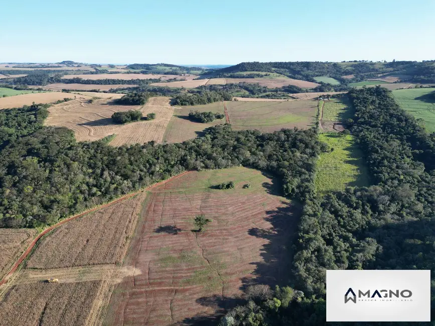 Foto 9 de Sítio / Rancho à venda, 242000m2 em Centro, Santa Tereza Do Oeste - PR