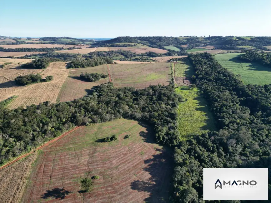 Foto 8 de Sítio / Rancho à venda, 242000m2 em Centro, Santa Tereza Do Oeste - PR