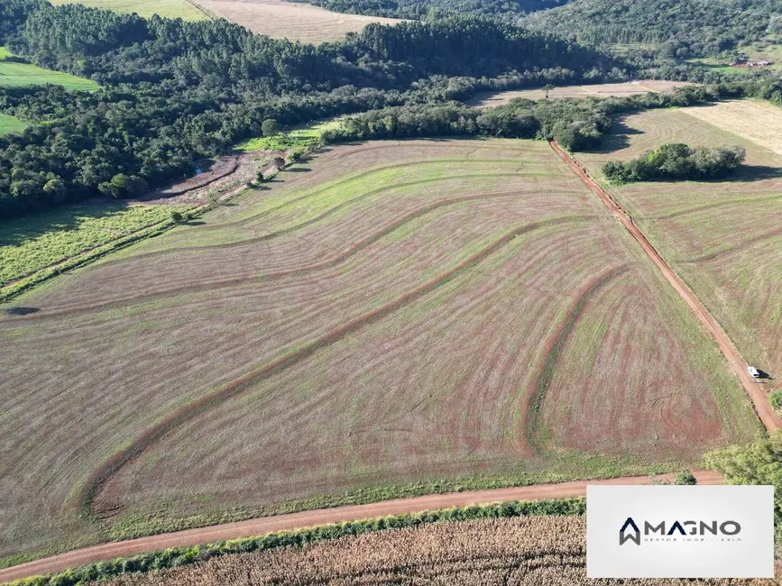 Foto 7 de Sítio / Rancho à venda, 242000m2 em Centro, Santa Tereza Do Oeste - PR
