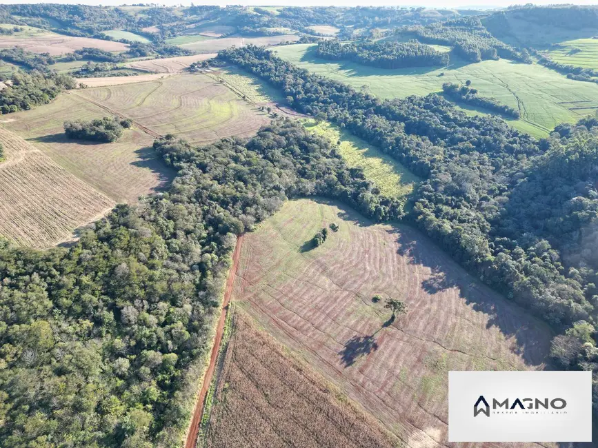 Foto 1 de Sítio / Rancho à venda, 242000m2 em Centro, Santa Tereza Do Oeste - PR